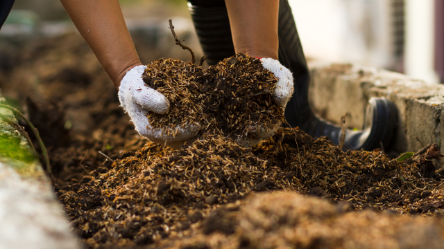 Garden mulch